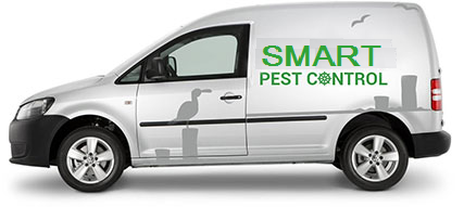 pest control vehicle advertising
