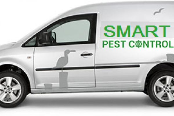 pest control vehicle advertising