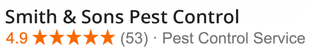 pest-control-reviews