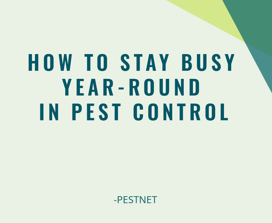 How to Stay Busy Year-Round in Pest Control